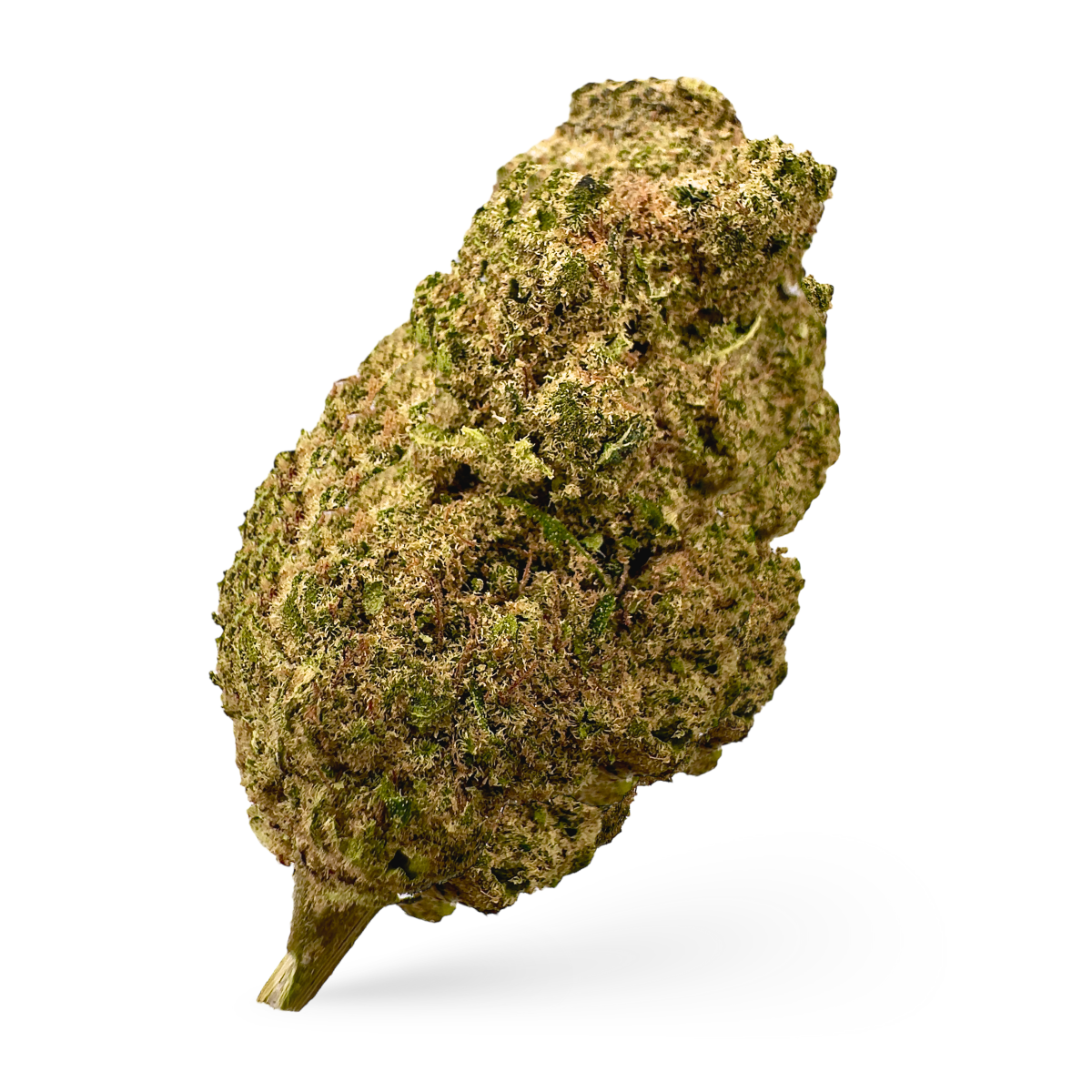 Gelato 33