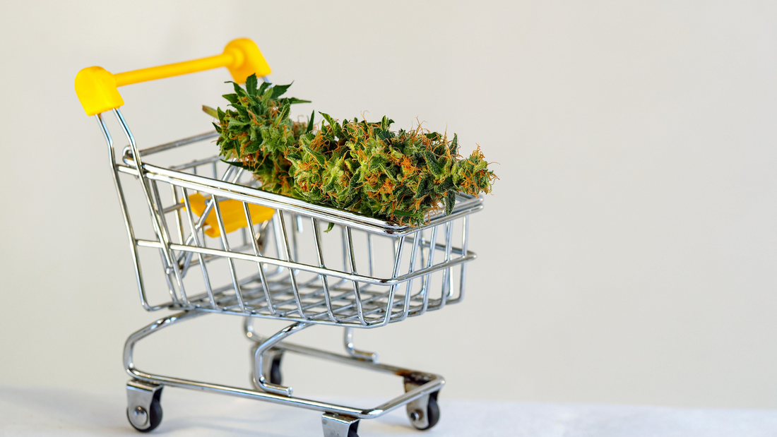 CBD et Productivité : Boostez Votre Efficacité au Quotidien