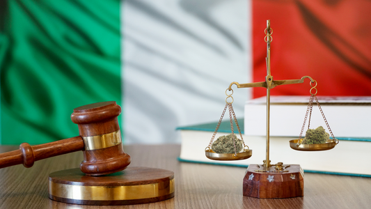 L'Italie et le CBD : Une réglementation en pleine évolution