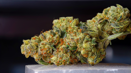 Terpènes et CBD : Ce qu'il faut savoir sur ces composés aromatiques naturels