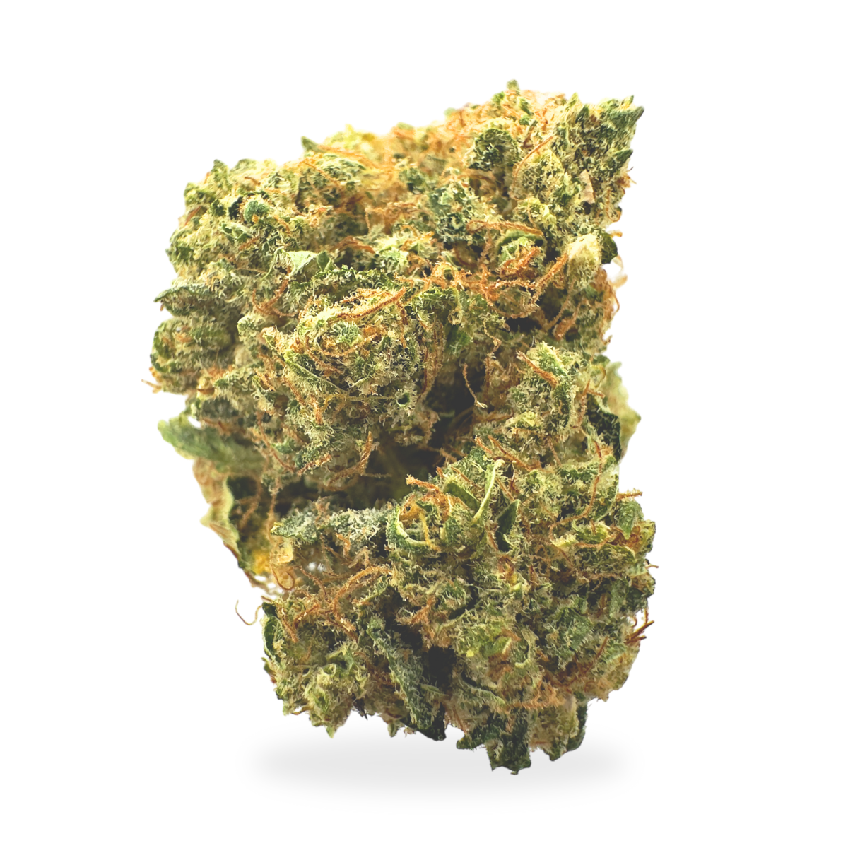 🍁 CBD