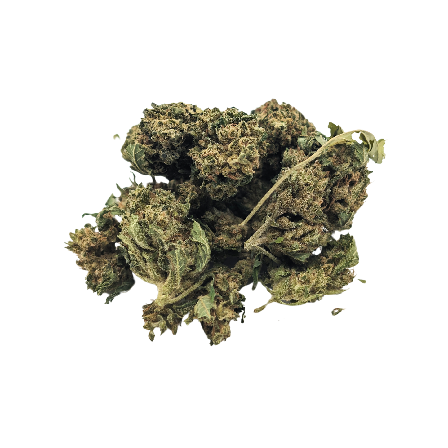 Jack Herer - La Tisanerie