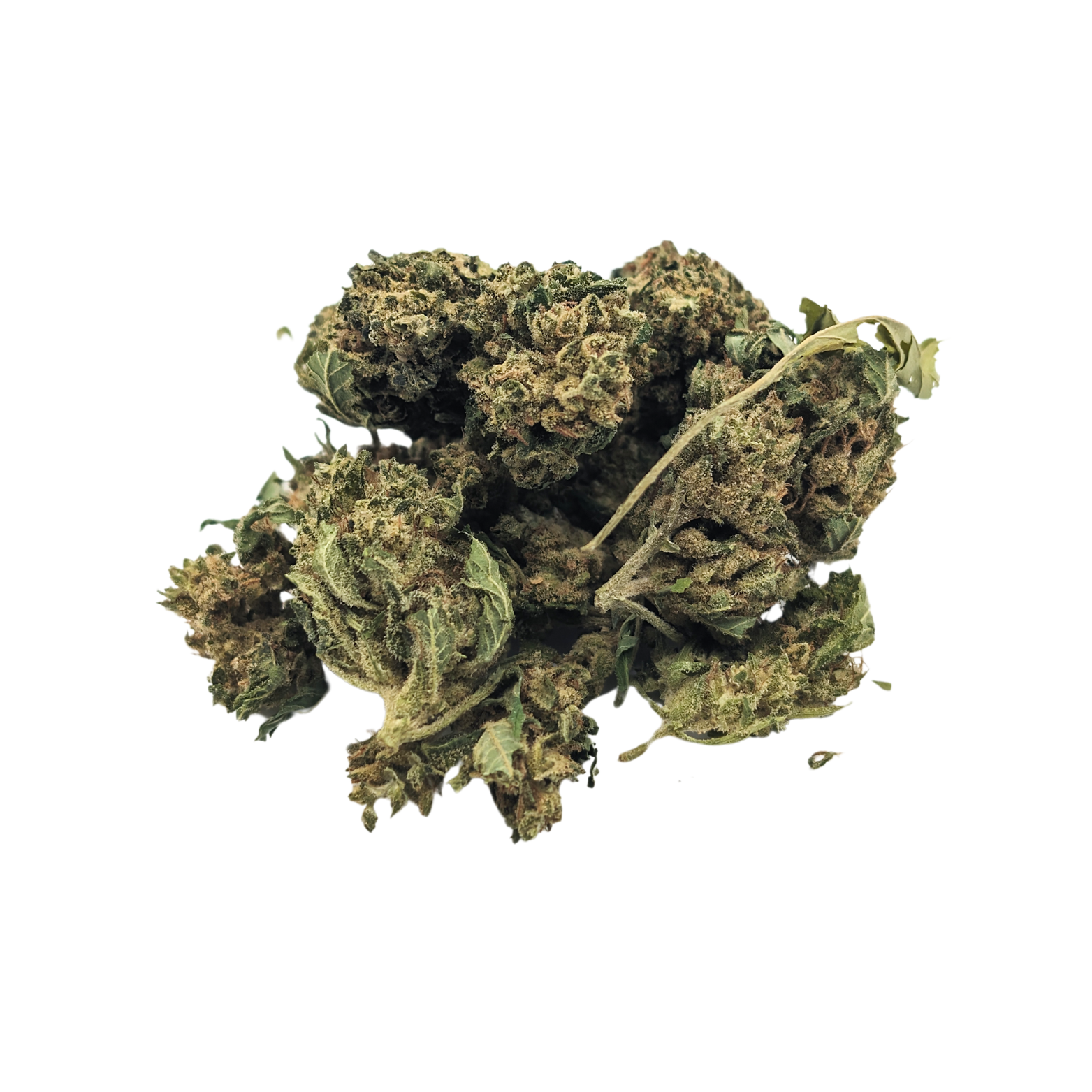 Jack Herer - La Tisanerie