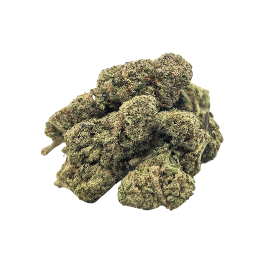 White Shark - La Tisanerie