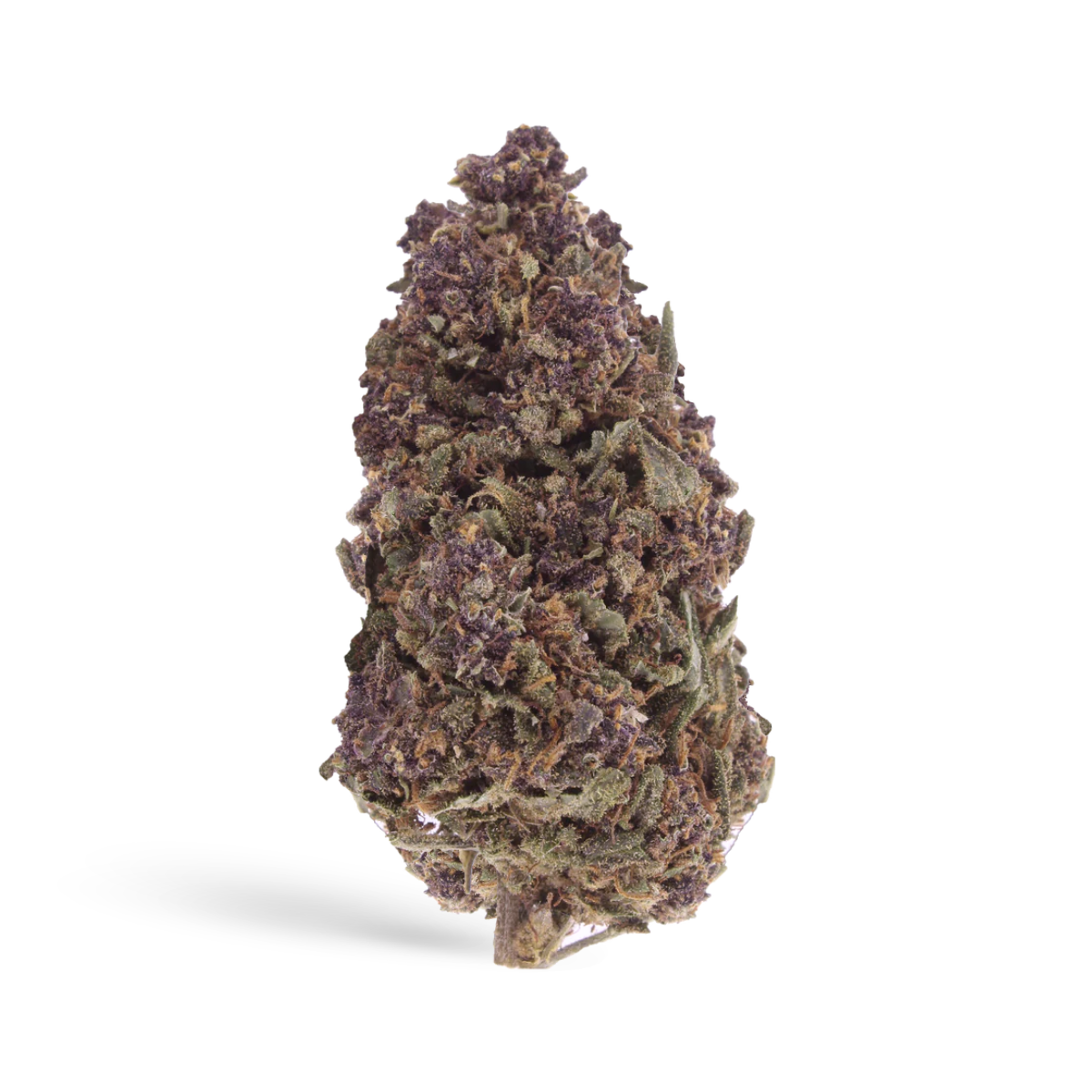 Bangkok Blaze