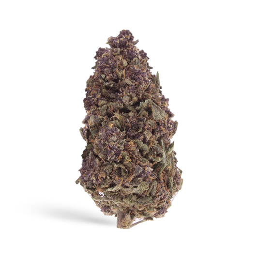 Bangkok Blaze