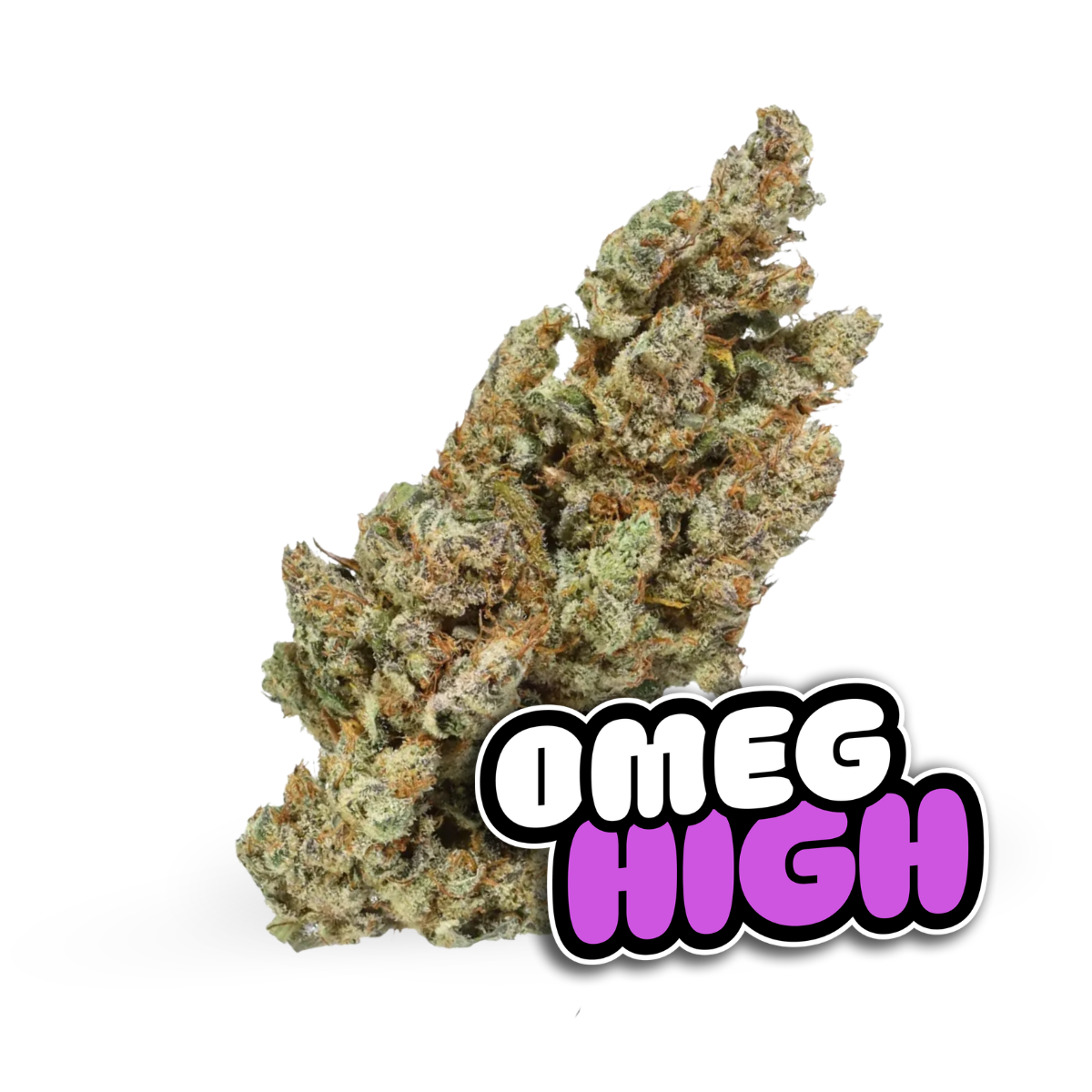 Buddha Diesel