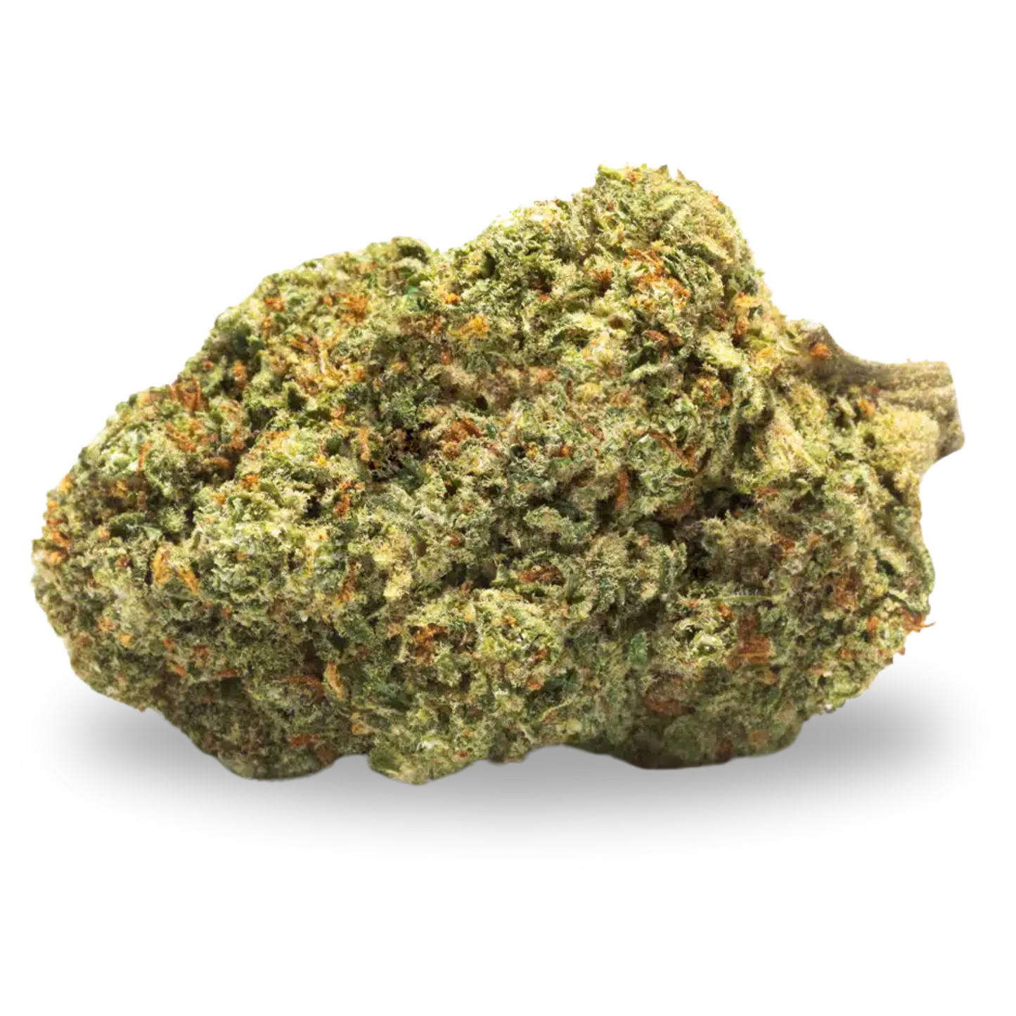 Gelato US