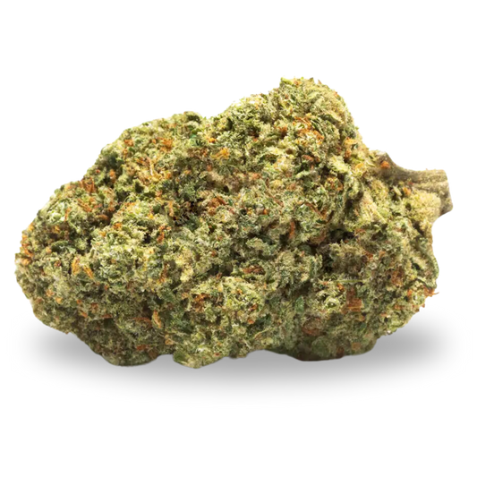 Gelato US