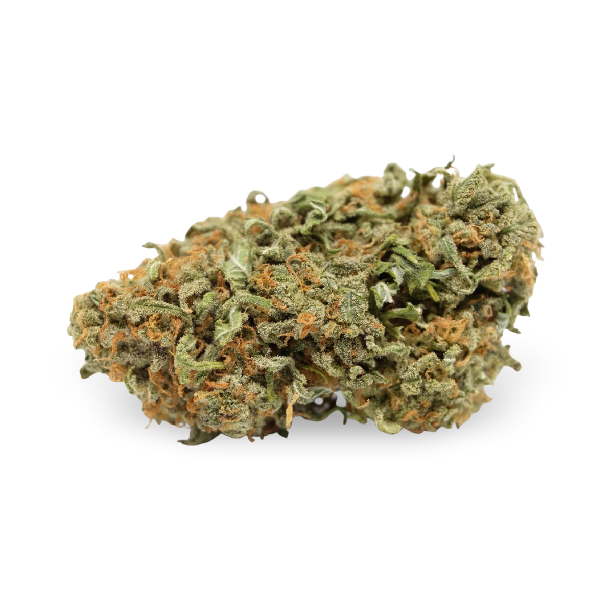 Golden Goat